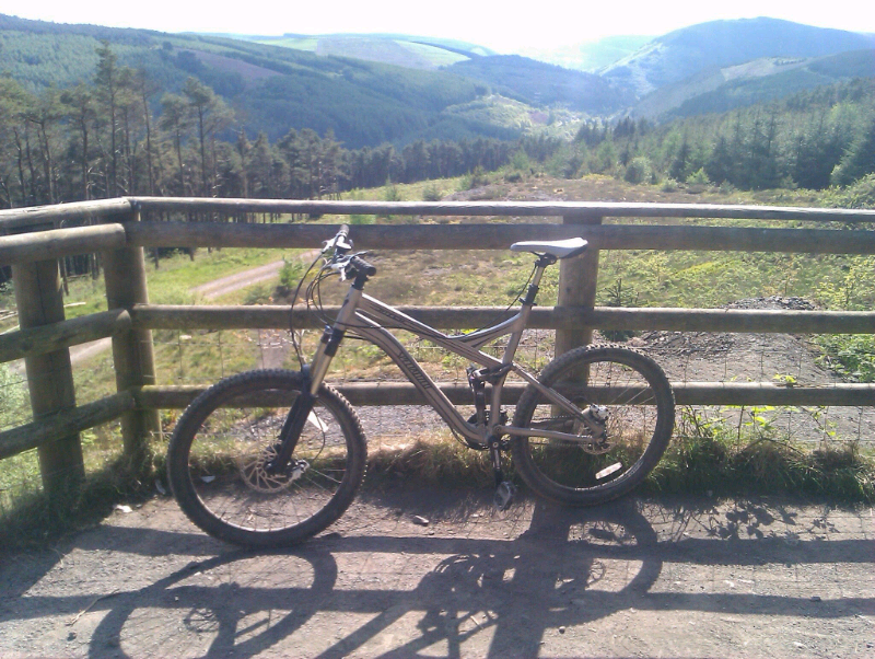 2010 specialized pitch pro